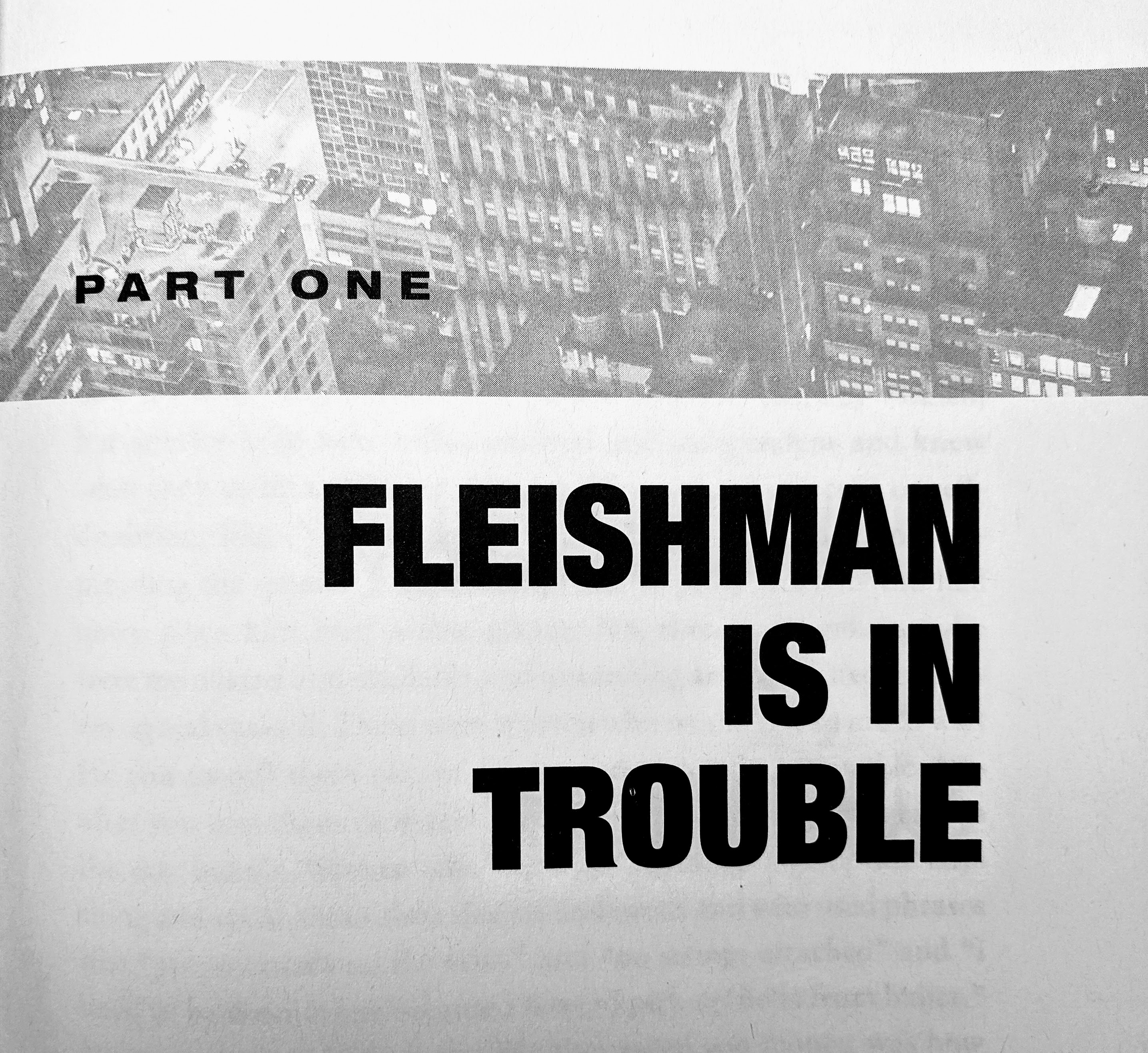 book review fleishman is in trouble